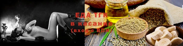 индика Аркадак