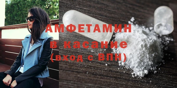 индика Аркадак