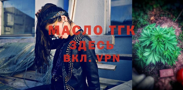 индика Аркадак