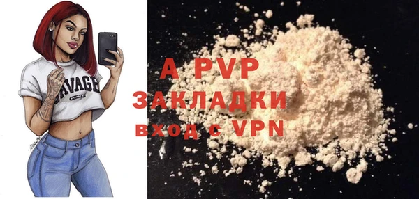 прущие грибы Покров