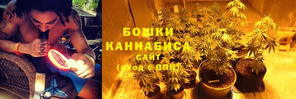 PSILOCYBIN Арсеньев