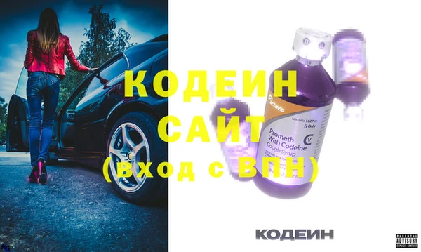 индика Аркадак