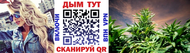Каннабис планчик  Серафимович 